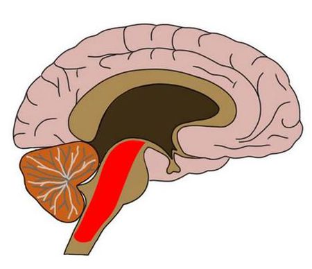 脑震荡后的视力症状限制了孩子重返教室的能力