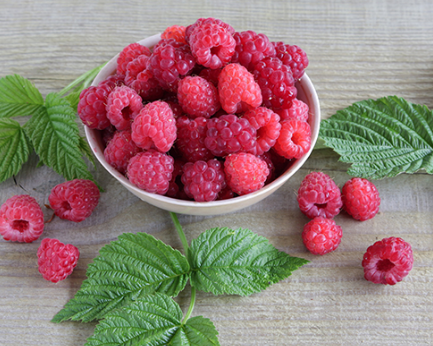 树莓果实提取物可降低体重增加并增加门诊活动