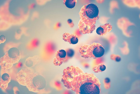 研究人员检查肌肽的抗癌特性