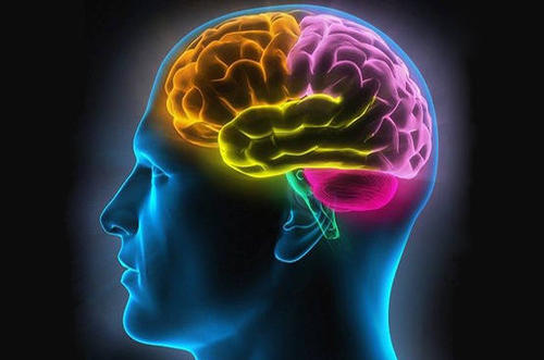 研究结果表明大脑活动失衡与行为控制之间存在因果关系