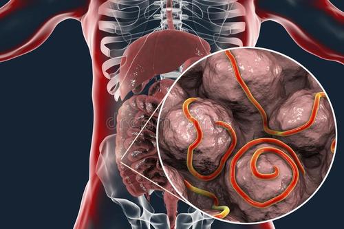 家庭关系和特质是寄生生物生存的关键