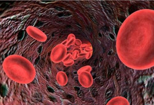 绘制血液癌症的免疫图谱可能有助于增强治疗
