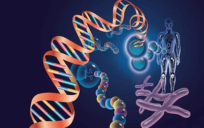 有史以来最大的卒中研究确定了22个新的遗传联系