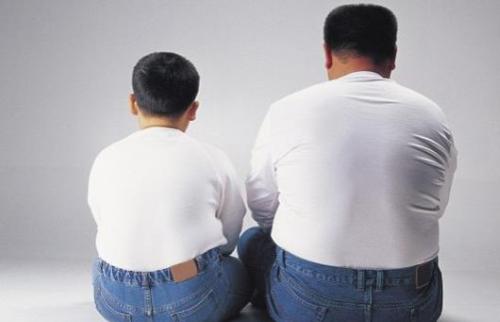 抗应力化合物可减少肥胖和糖尿病