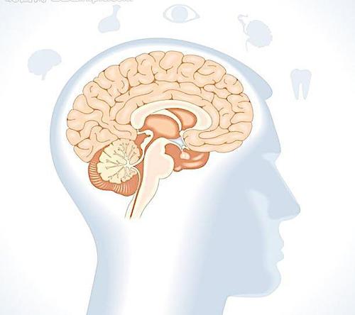 调查癫痫患者大脑的自动完成功能