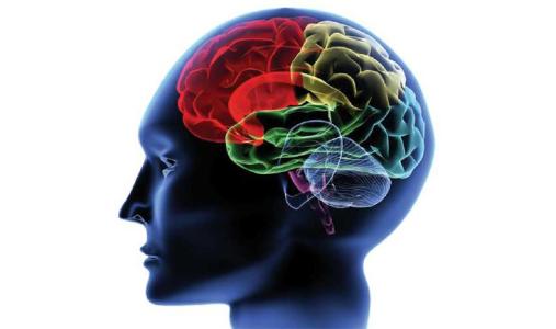 抗氧化剂前体分子可改善MS患者的脑功能