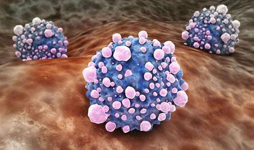 研究表明阻断免疫T细胞调节剂可能有助于消除肿瘤