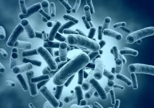 疾病预防控制中心警告多州大肠杆菌爆发
