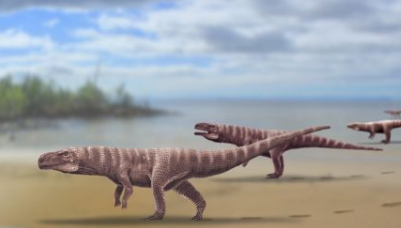 研究人员发现两条腿走路的古鳄鱼
