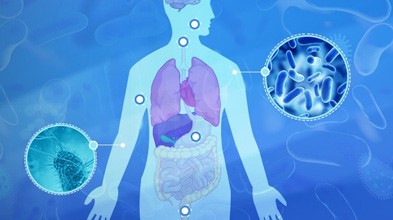 微生物组可能是鉴定感染HPV感染前期癌症风险的女性的关键