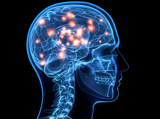 脑图研究表明手的运动区域也连接到整个身体