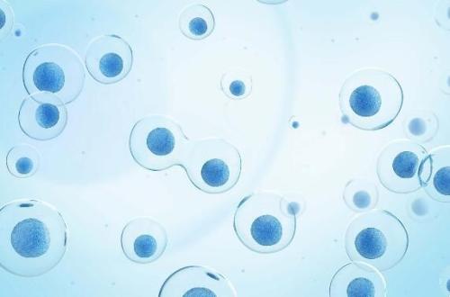 单细胞转录组学一种新的测序方法