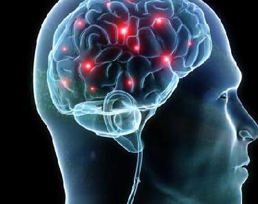 科学家解读大脑如何感知气味