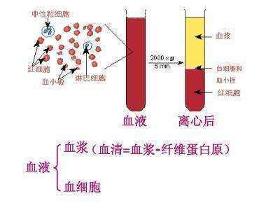 科普下血浆纤维蛋白原含量测定的临床意义是什么