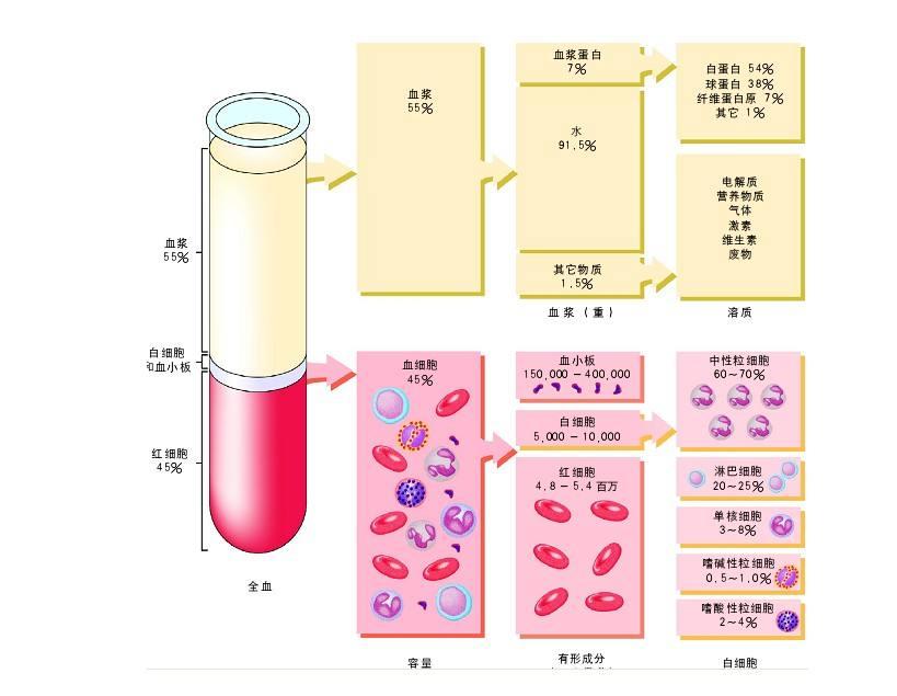 介绍下血浆纤维蛋白原含量测定的临床意义是什么