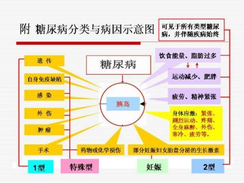 科普下特异型糖尿病按病因和发病机制分为几种亚型