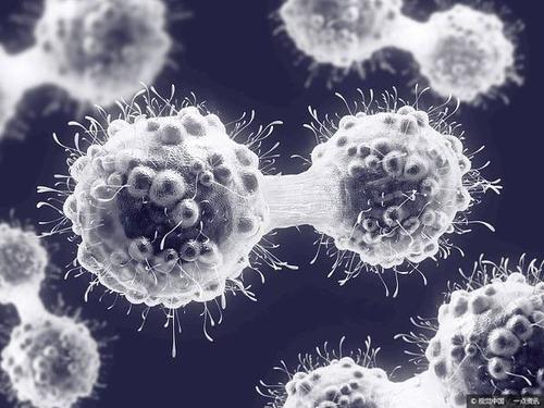 研究人员确定了促进癌细胞生长的机制