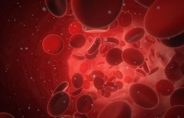 科普下红细胞系统中的原始红细胞的超微结构是什么