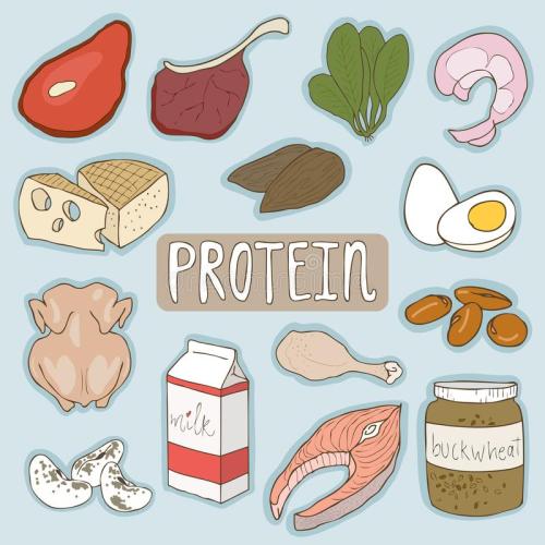蛋白质消耗过量的副作用