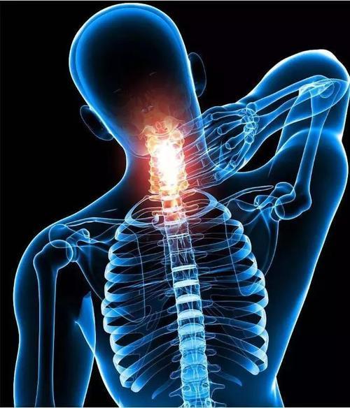 脊柱刺激器可以用于恢复失去的肢体的触感
