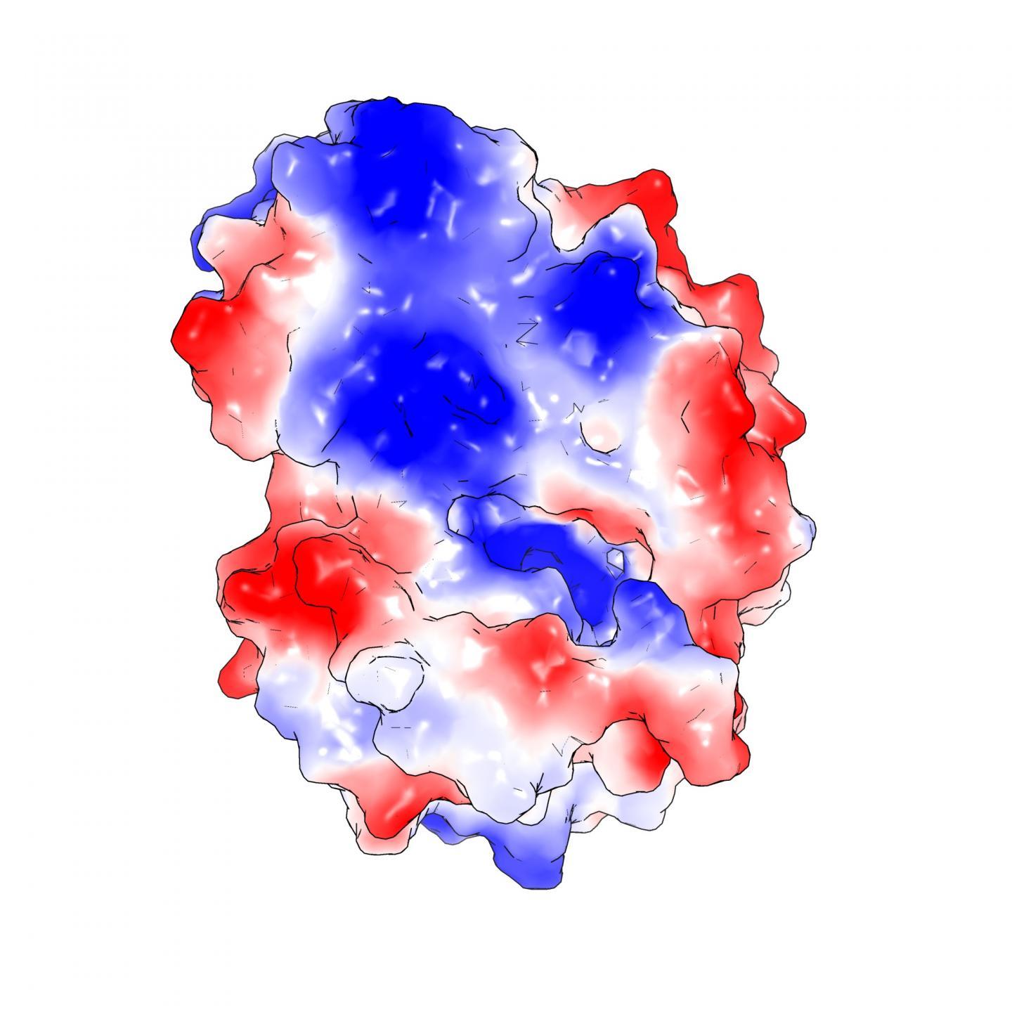 科学家找到杀死结核病的新方法