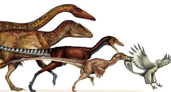 新的侏罗纪非禽类兽脚亚目恐龙揭示了恐龙的飞行起源