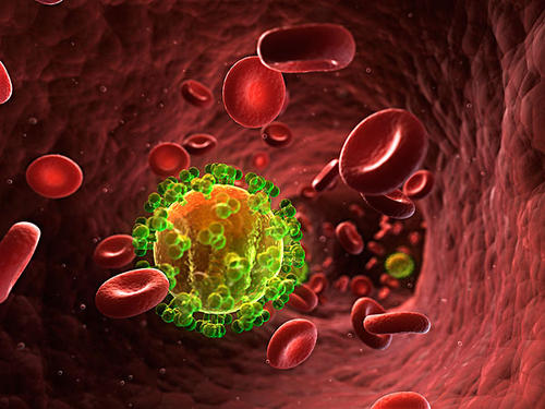 确定可能的艾滋病毒根除干细胞移植因素