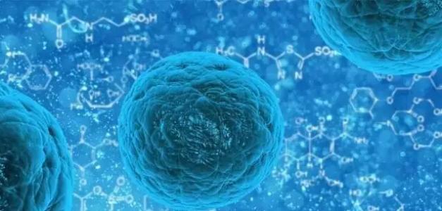 塑造癌症与免疫细胞的斗争
