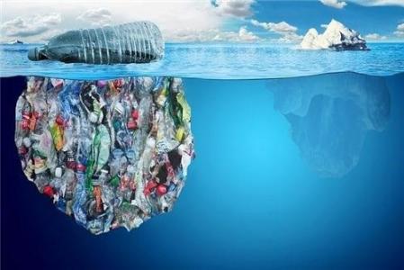 塑料污染会伤害有助于产生我们呼吸的氧气的细菌