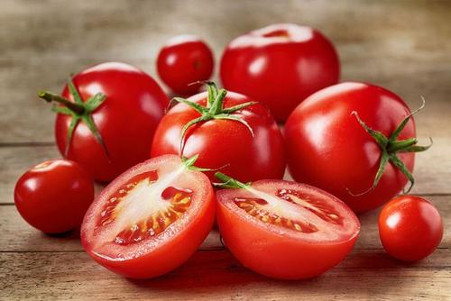 科学家们为改良西红柿创造了新的基因组资源