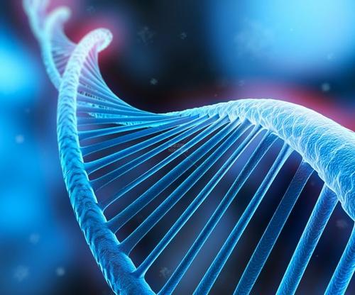 新医生的DNA年龄比第一年快六倍