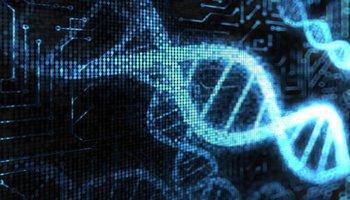 基因组碰撞可以解释为什么许多肾脏移植失败
