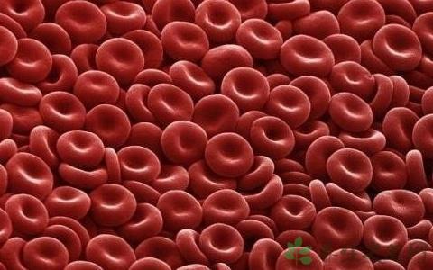 血红细胞如何粘在血管上