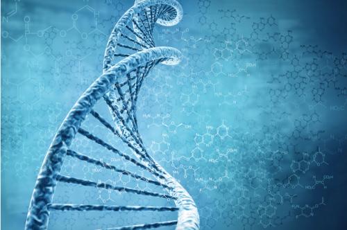科学家用人造DNA制造细菌