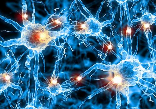 神经元细胞应激信号识别