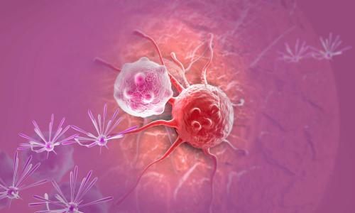 新研究揭示了一部分癌细胞的意外生存机制