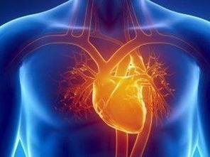 三种基因突变的组合导致致命的人类心脏病