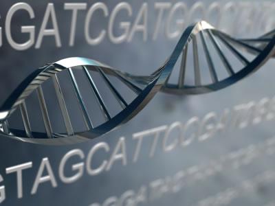 新的存储库可以轻松交换用于基因组研究的机器学习模型