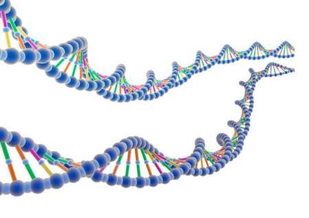 DNA分析软件可以更容易地检测由遗传变化引起的疾病