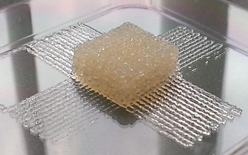 3D打印机开发可以创建复杂的生物组织