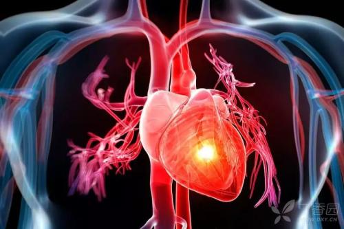在心脏中识别出数许多微粒蛋白质与线粒体结合