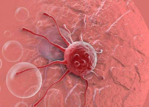 遗传转换有助于乳腺癌传播