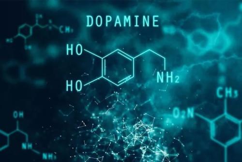 慢性炎症如何降低多巴胺和动力