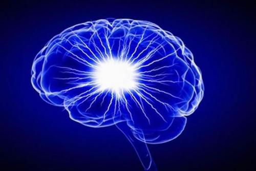 神经科学家追踪一个过滤不需要的感觉输入的大脑回路