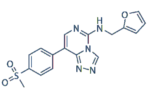 多梳蛋白EED在大脑发育中起着复杂的作用