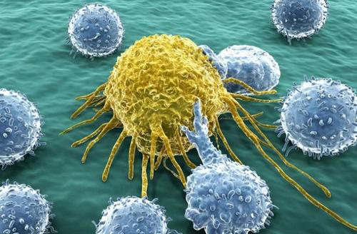 发现外显子可能有助于揭示癌细胞如何传播