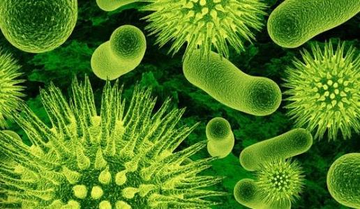 某些抗生素组合如何打败超级细菌