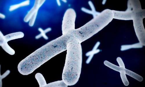 染色体的黑暗中心揭示了古老的DNA