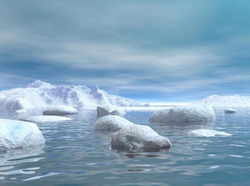 恐龙灭绝后的南极海洋生物恢复