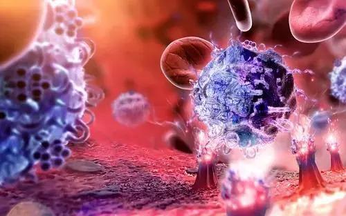新型化合物抑制黑色素瘤细胞生长